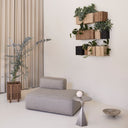 Walls