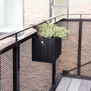 GrowON + HoldON Black Ash - Squarely