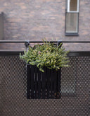 GrowON + HoldON Black Ash - Squarely