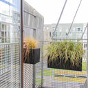 GrowON Sort Ask + HoldON