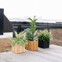 Greener streets and waste repurposing