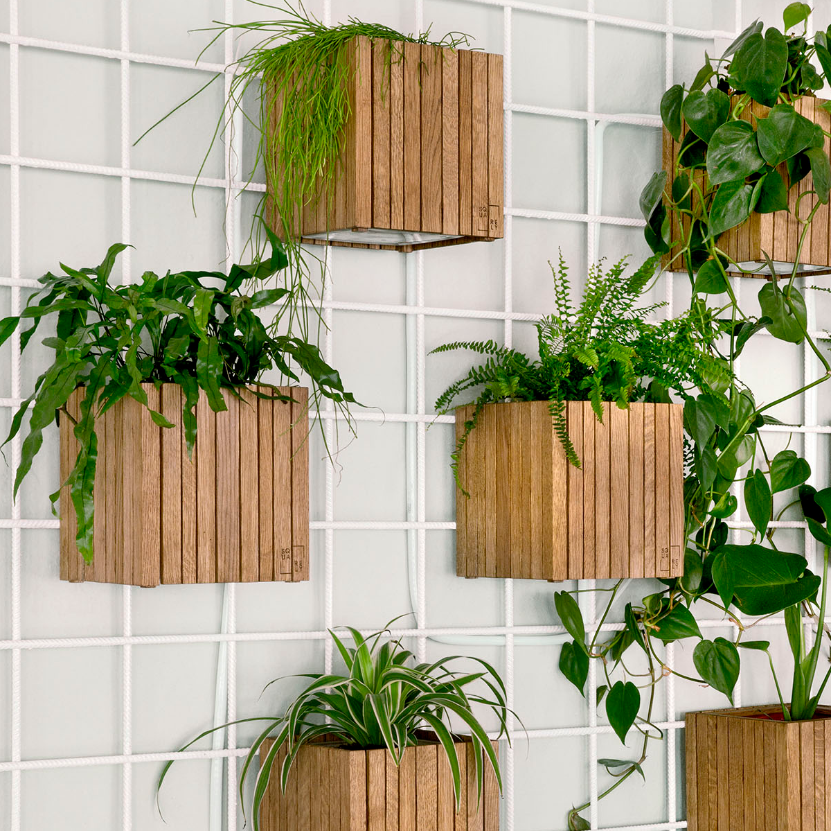 Decoration Guide Our Ultimate Wall Decoration Guide – SQUARELY