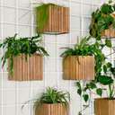 Our Ultimate Wall Decoration Guide
