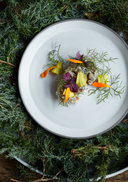 27 of the Best Restaurants and Cafes in Europe (for Plant-Lovers!)