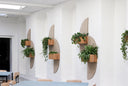 The 10 Best Indoor Hanging Plants to Turn Your Home Into a Jungle