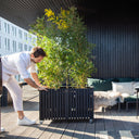 Elevate Your Summer Experience with Stunning Terrace Planters