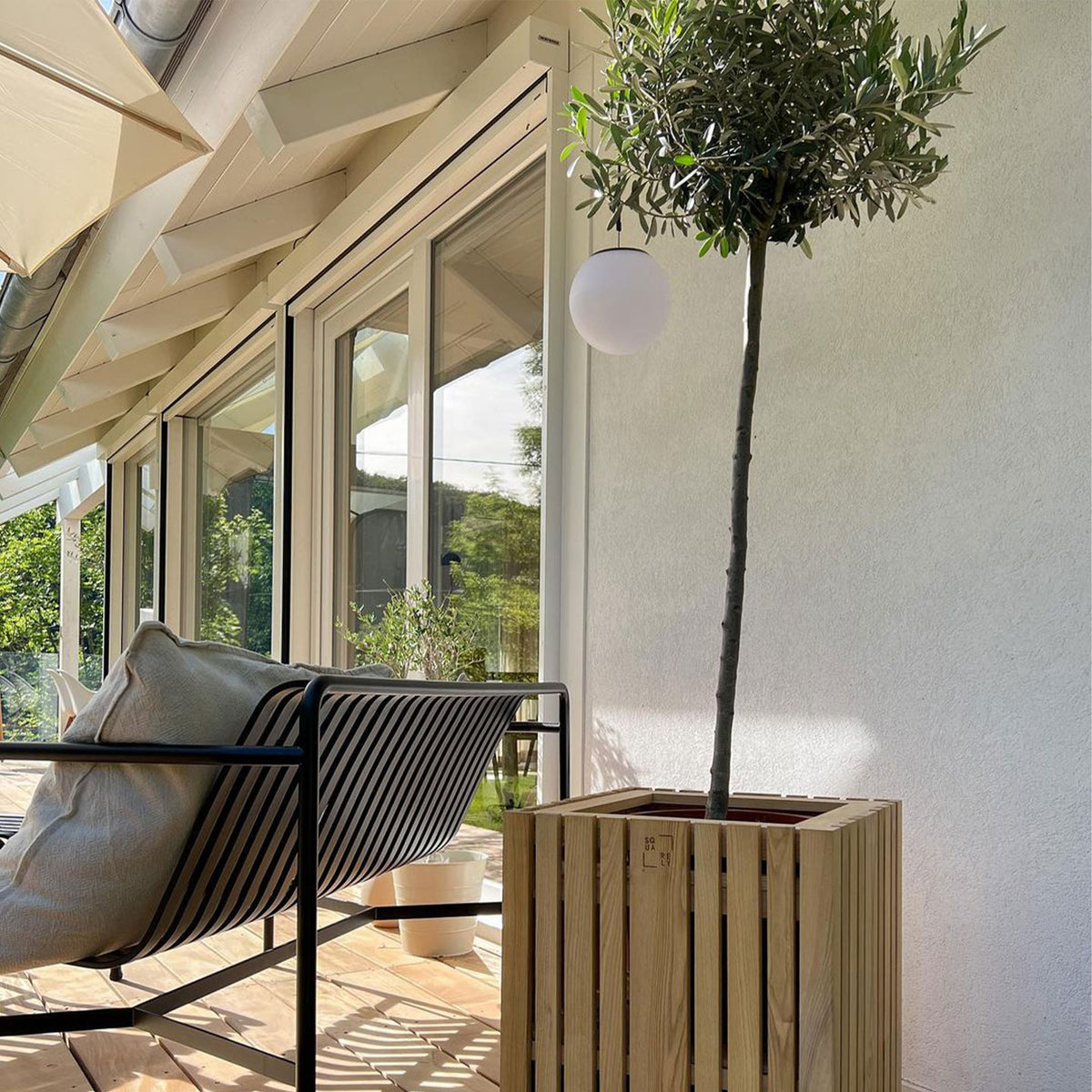 The best plants to plant in July SQUARELY