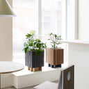 Squarely Accessories GrowON Dark Oak Self Watering System without plant on StandON