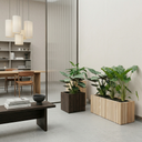 Pine Collection