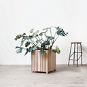 Squarely Self Watering Planter GrowBIG Natural Ash with green plant standing on concrete floor