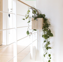 Designer Interiors