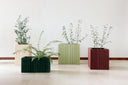 Unfold Collection