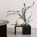 GrowMORE with GrowTABLE Black Ash