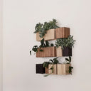 GrowON Natural Oak Wall