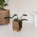 GrowON BaseON dark oak