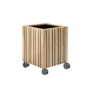 GrowMORE Natural Ash