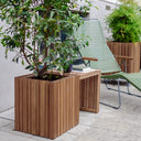 GrowMORE with GrowTABLE dark oak