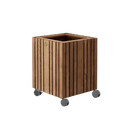GrowBIG Dunkle Eiche