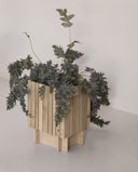 BaseON natural oak