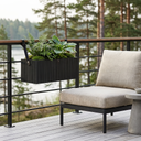 GrowWIDE Black Ash + HoldON