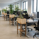 Office Division with plants