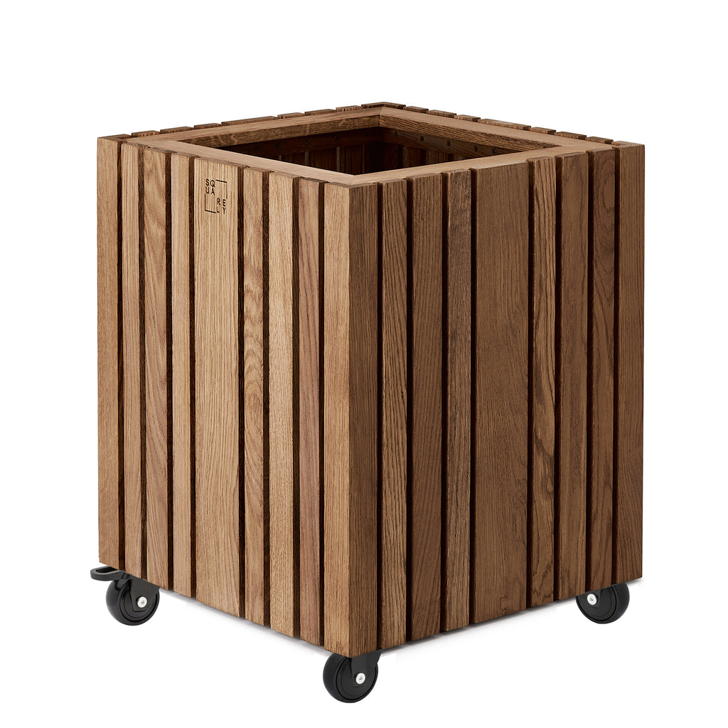 GrowBIG Dark Oak