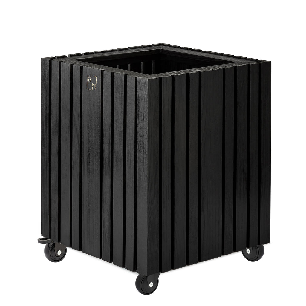GrowBIG Schwarze Esche