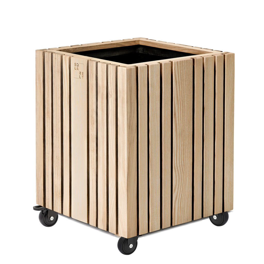 GrowBIG Esche Natur