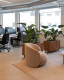 GrowLARGE Dark Oak Pro