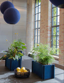 A modern interior scene with large blue spherical pendant lights hanging over a table, blue rectangular planters filled with green foliage, and a small black basket of lemons near the table. Tall windows, exposed brick, and a gray floor are visible in the room.
