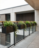 GrowWIDE Black Ash + HoldON