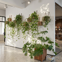 Green Wall Set