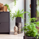 GrowON Black Ash Pro 24cm