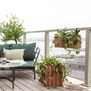 GrowWIDE Mørk Eg + HoldON