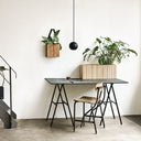 GrowWIDE Natural Ash Pro