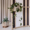 GrowON Natural Oak BaseON dark oak