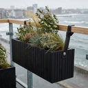 GrowWIDE Black Ash + HoldON