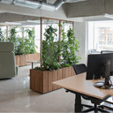 Modern office space with desks, chairs, and large windows. Room division in offices with plants 