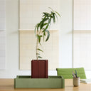 BloomTRAY Meadow Green