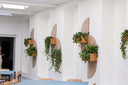 A modern interior room with white arched walls featuring several oval wall-mounted planters in a light wood slat finish, each holding green trailing plants. Blue tables and chairs are partially visible in the foreground and left side.