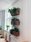 GrowWIDE Dark Oak Pro