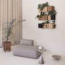 GrowMORE Dark Oak Pro