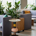 GrowLARGE Dark Oak Pro