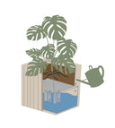 GrowBIG Dunkle Eiche