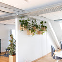 Selv-designet vægsæt