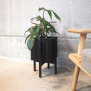 GrowON Sort Ask + StandON