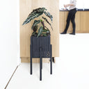 GrowON+ StandON Black Ash - Squarely
