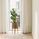 GrowON Mørk Eg + StandON