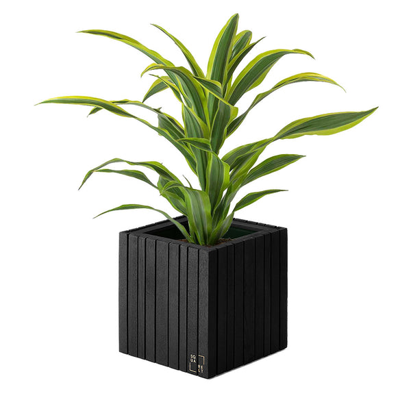 Plantesæt: GrowON Sort Ask
