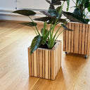 GrowMORE Natural Ash